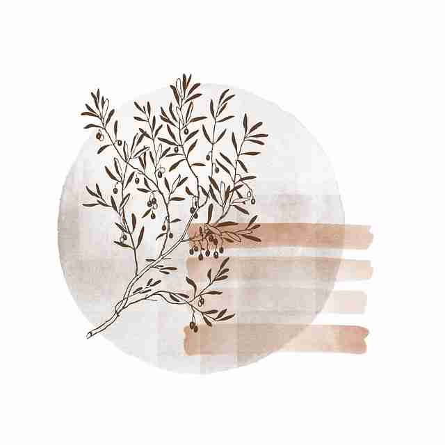 黑料正能量往期事件升级，黑料正能量3.17期